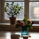 Cozy Two-bedroom Close To The Center Daire Helsinki