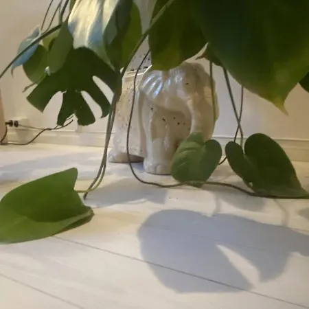 Apartmán Cozy Two-bedroom Close To The Center