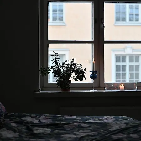 Huoneisto Cozy Two-bedroom Close To The Center Helsinki