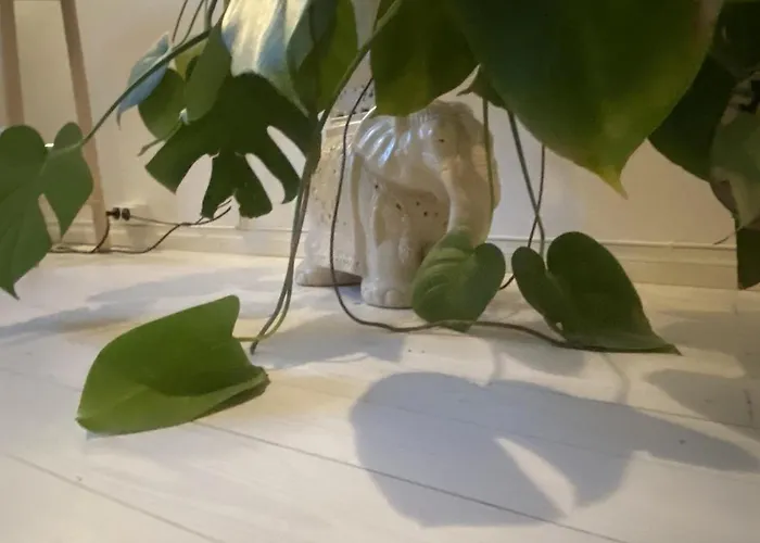 Apartmán Cozy Two-bedroom Close To The Center