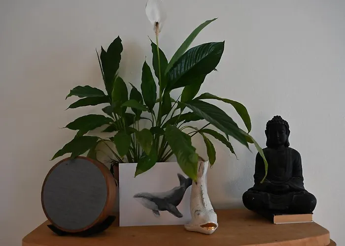 Apartmán Cozy Two-bedroom Close To The Center